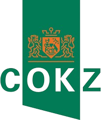 cokz-kidzo
